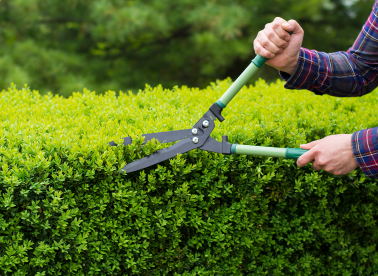 Garden Cleaning